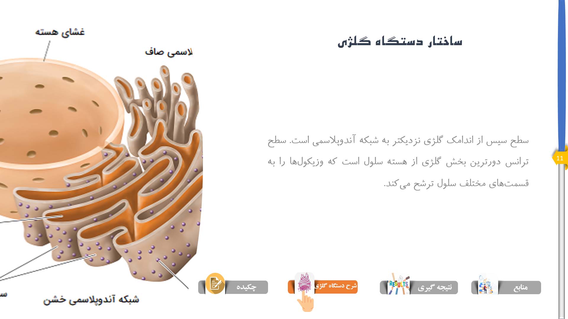 پاورپوینت در مورد دستگاه گلژی